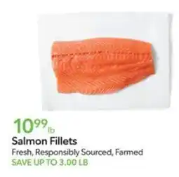 Publix Salmon Fillets offer