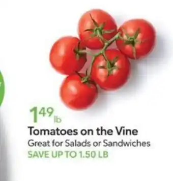 Publix Tomatoes on the Vine offer