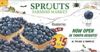 Sprouts Farmers Market Blueberries offer