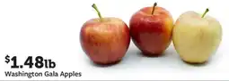 Fareway Washington Gala Apples offer