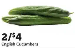 Fareway English Cucumbers offer