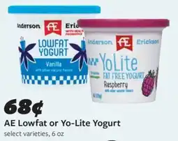 Fareway AE Lowfat or Yo-Lite Yogurt select varieties, 6 oz offer