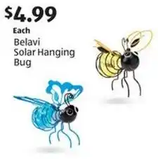Aldi Belavi Solar Hanging Bug offer