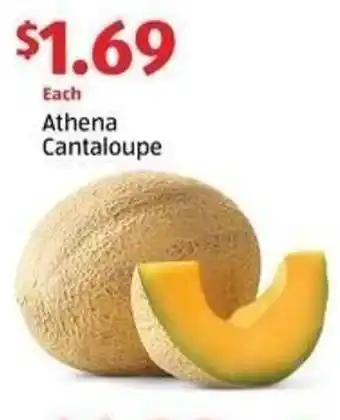 Aldi Athena Cantaloupe offer