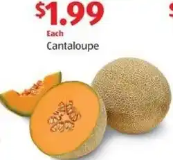 Aldi Cantaloupe offer