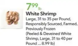 White Shrimp