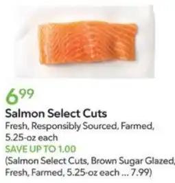 Publix Salmon Select Cuts offer