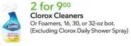 Publix Clorox Cleaners offer
