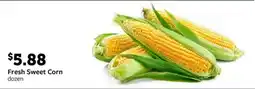Fareway Fresh Sweet Corn offer