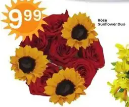 Albertsons Rose Sunflower Duo offer