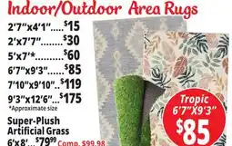 Ocean State Job Lot Indoor/Outdoor Area Rugs offer