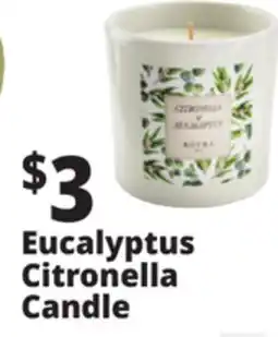 Ocean State Job Lot Roura Citronella & Eucalyptus Candle offer