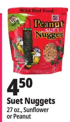 Ocean State Job Lot C&S Peanut Suet Nuggets Wild Bird Food 27 oz offer