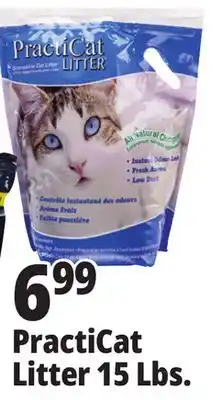 Ocean State Job Lot Premium Scoopable Cat Litter 15 lbs offer