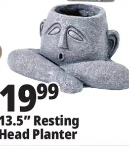 Ocean State Job Lot 13.5 Resting Head Planter offer