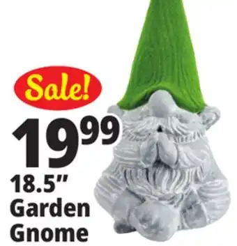 Ocean State Job Lot Garden Gnome 18.5 offer