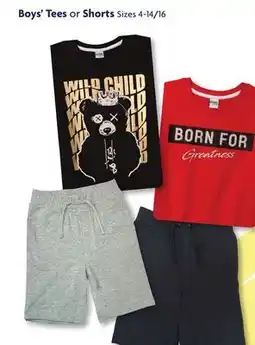 Family Dollar Boys' Tees or Shorts offer