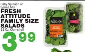 Bravo Supermarkets FRESH ATTITUDE FAMILY SIZE SALADS offer