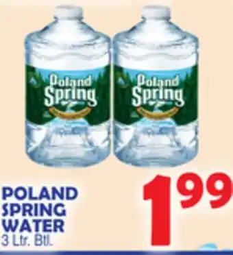 Bravo Supermarkets POLAND SPRING WATER offer