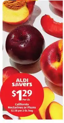 Aldi California Nectarines or Plums offer
