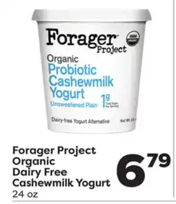 Weis Markets Forager Project Organic Dairy Free Cashewmilk Yogurt offer