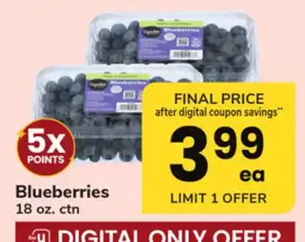 ACME Blueberries offer