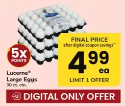 ACME Lucerne Large Eggs offer