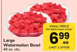 ACME Large Watermelon Bowl offer