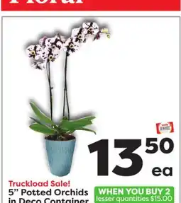 Weis Markets 5 Potted Orchids in Deco Container offer