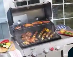 Ace Hardware Weber Genesis SP-S-325 Stainless Steel Gas Grill offer
