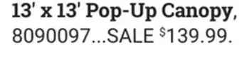 Ace Hardware 13' x 13' Pop-Up Canopy offer