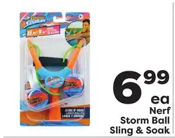 Weis Markets Nerf Storm Ball Sling & Soak offer