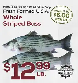 DeCicco & Sons Whole Striped Bass offer