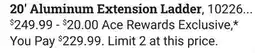 Ace Hardware Werner 20' Aluminum Extension Ladder offer