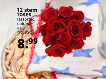 Lidl 12 stem roses offer