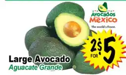 Superior Grocers Large Avocado offer
