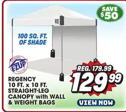 Big 5 E-Z UP Regency 10' x 10' Straight Leg Canopy with Side Wall and 4 Weight Bags offer