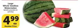 Vons Large Whole Seedless Watermelon offer