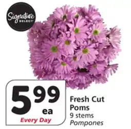Vons Fresh Cut Poms offer