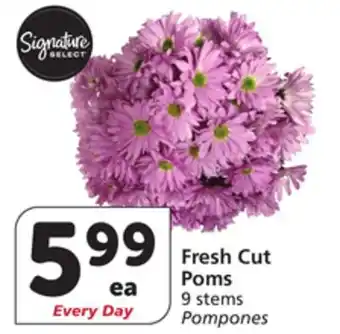 Vons Fresh Cut Poms offer