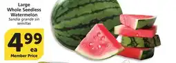 Albertsons Large Whole Seedless Watermelon offer