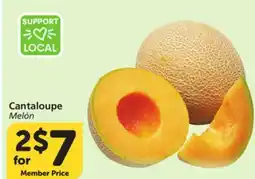 Albertsons Cantaloupe offer