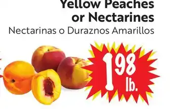 Foodmaxx Yellow Peaches or Nectarines offer