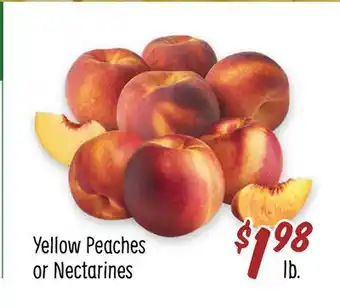 Sprouts Farmers Market Yellow Peaches or Nectarines offer