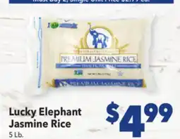 Vallarta Supermarkets Lucky Elephant Jasmine Rice offer