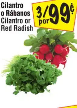 El Super Cilantro or Red Radish offer