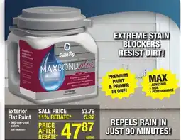 Menards Dutch Boy Maxbond Plus Exterior 100% Acrylic Flat Polka Dot Paint + Primer - 1 gal offer