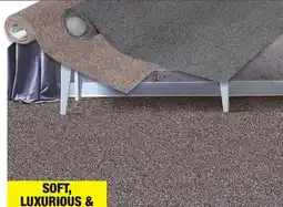 Menards Looptex Mills Intuitive Space Gray Plush Carpet 12 ft. Wide offer