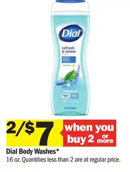 Meijer Dial Body Washes offer