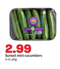 Hy-Vee Sunset mini cucumbers offer